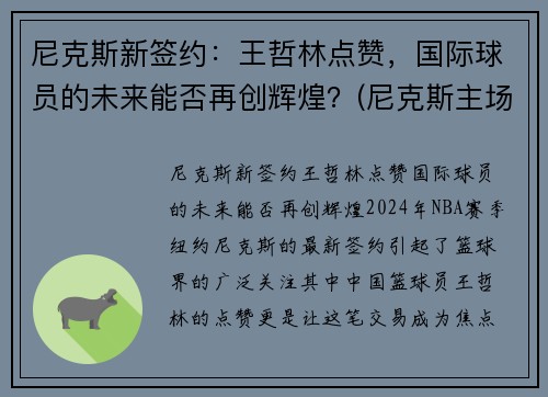 尼克斯新签约：王哲林点赞，国际球员的未来能否再创辉煌？(尼克斯主场)