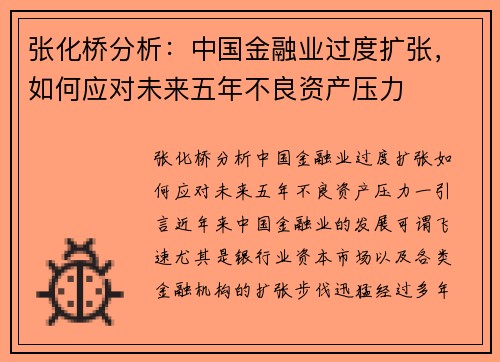 张化桥分析：中国金融业过度扩张，如何应对未来五年不良资产压力